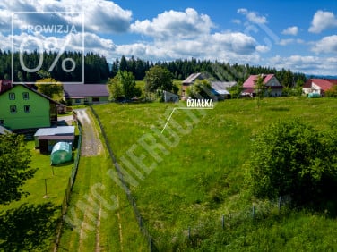 Działka Kurów