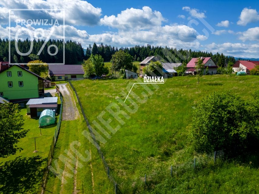 Działka Kurów