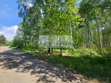 Działka Kozerki
