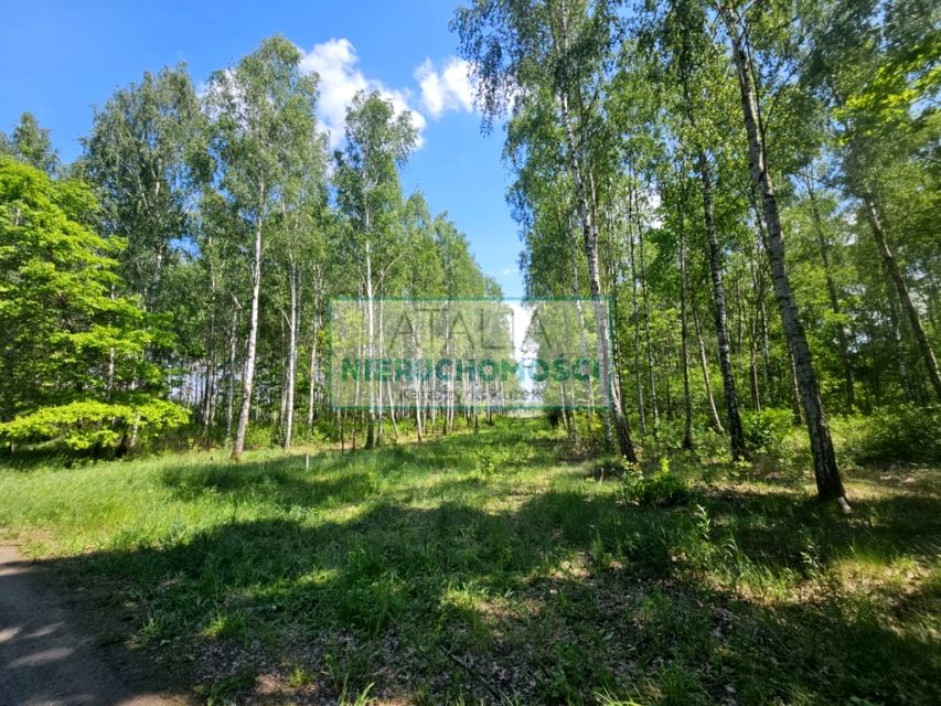 Zdjęcie 3
