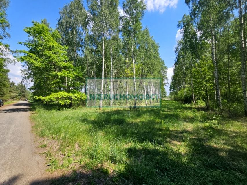 Zdjęcie 2