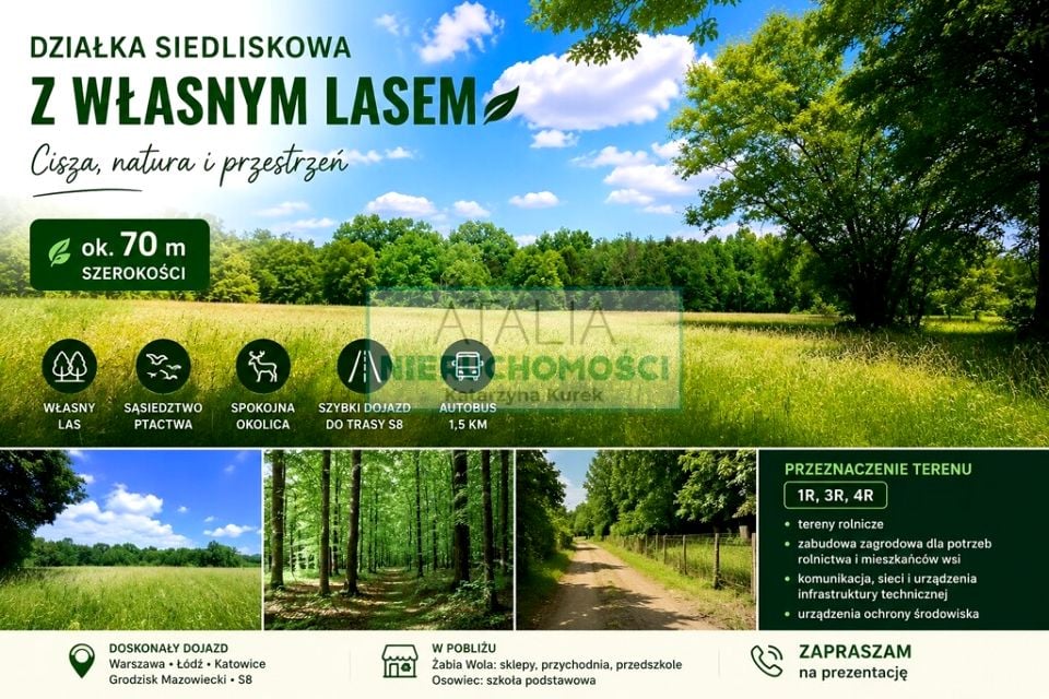 Działka Ciepłe
