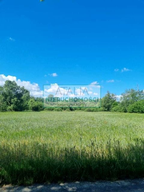 Działka Jaktorów-Kolonia