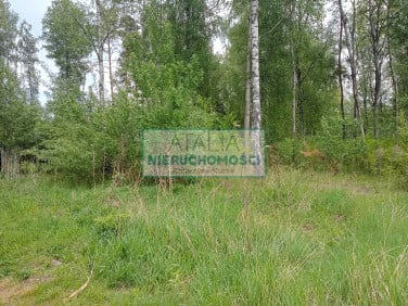 Działka Mościska