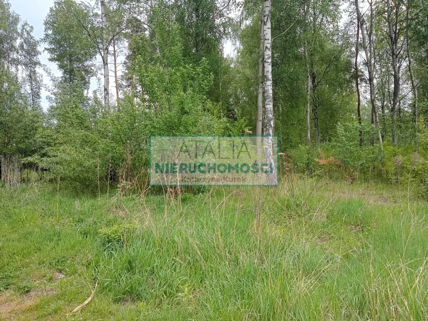 Działka Mościska
