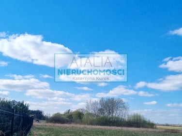 Działka Książenice