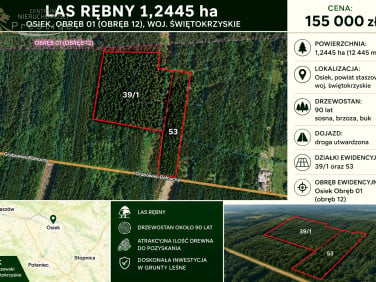 Działka leśna Osiek