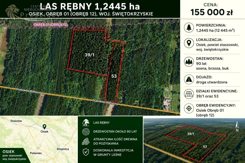 Działka leśna Osiek