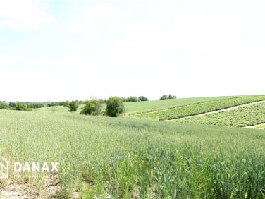 Pusta działka Cianowice