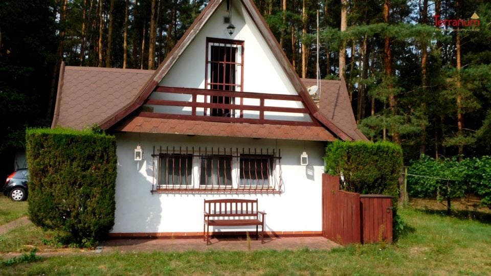 Działka przy lesie
