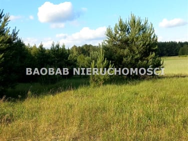 Działka Śródborze