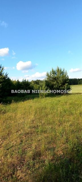 Działka Śródborze