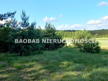 Działka Śródborze