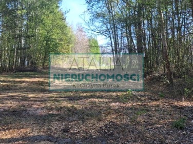 Działka Adamowizna