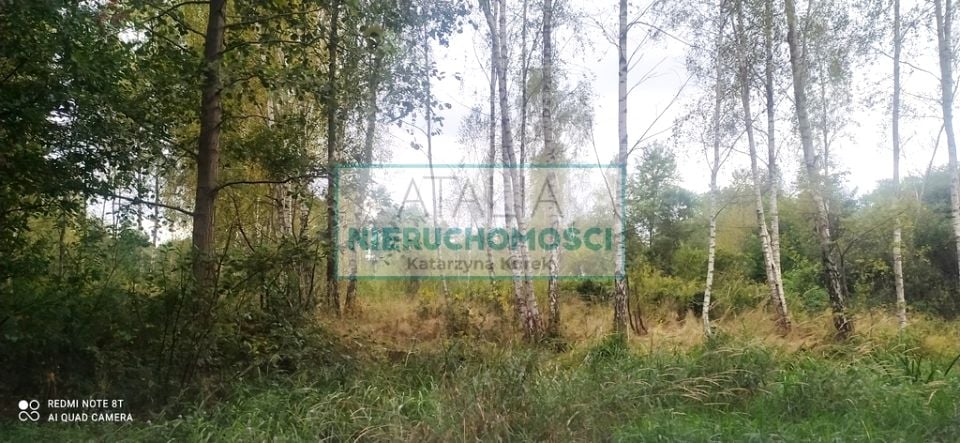 Działka przy lesie