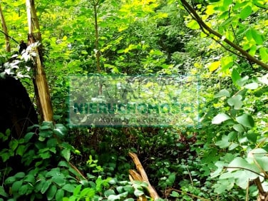 Działka Grodzisk Mazowiecki