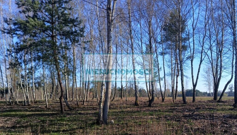 Zdjęcie 3