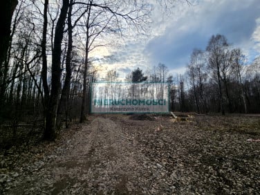 Działka Zaręby