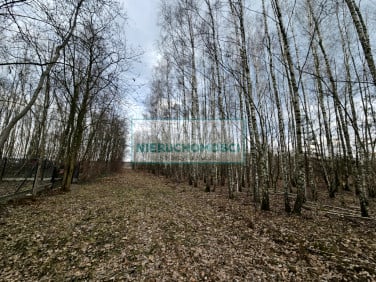 Działka Słubica B