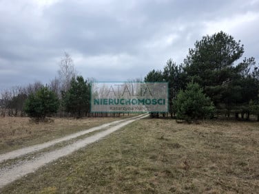 Działka Budy Zosine