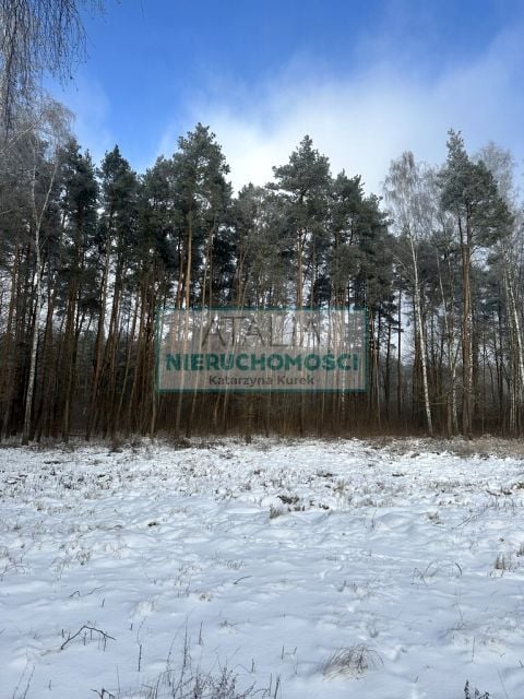 Zdjęcie 2