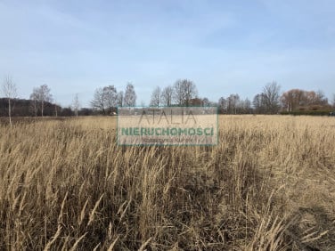 Działka Milanówek