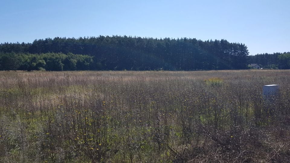 Działka budowlana Kunowice
