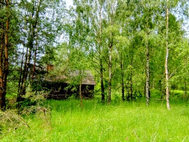 Działka Kościerzyna