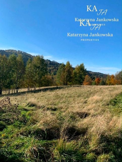 Działka przy lesie