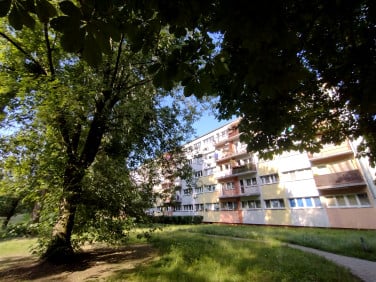Mieszkanie Łódź