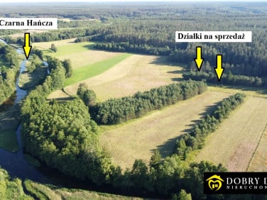 Działka rolna Sarnetki