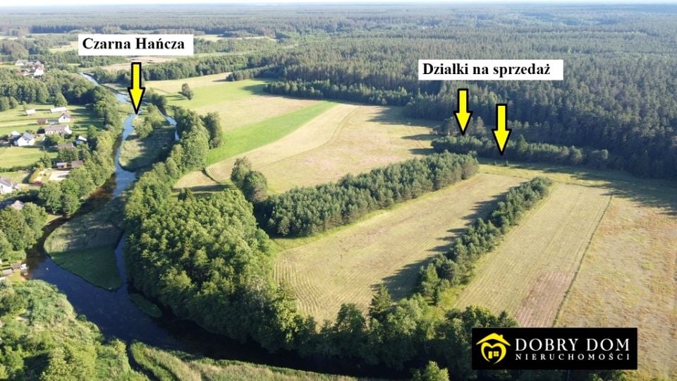 Działka rolna Sarnetki