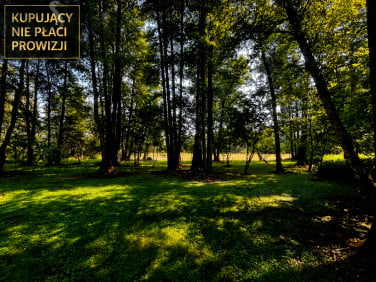 Działka Polesie