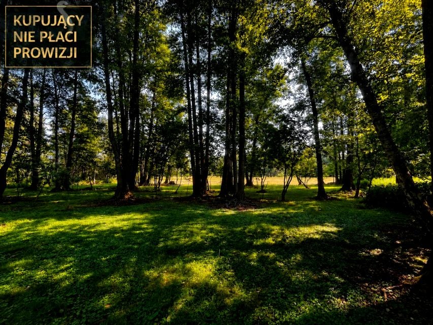 Działka Polesie