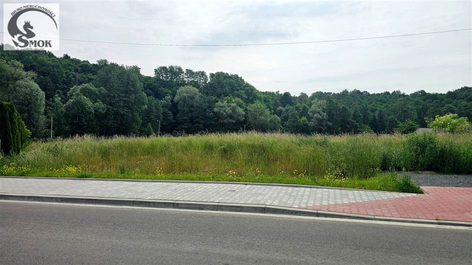 Zdjęcie 3