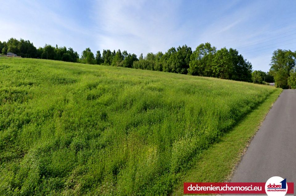 Zdjęcie 3