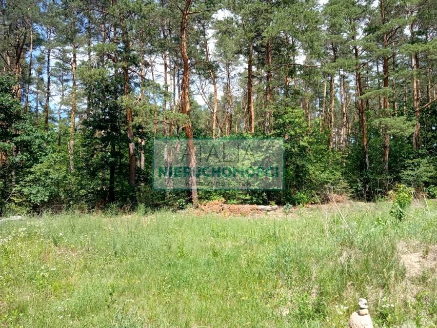 Działka budowlana Żółwin