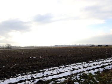 Działka rolna Kłębanowice