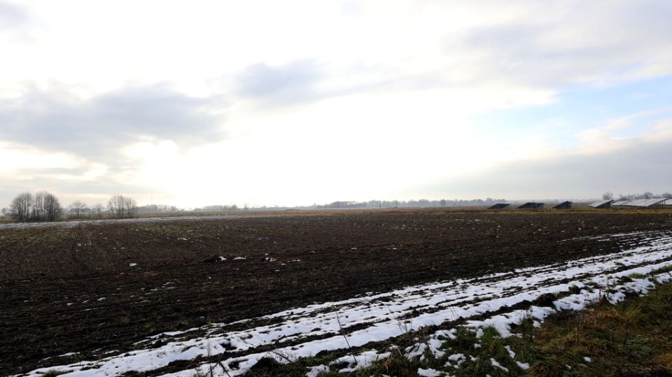 Działka rolna Kłębanowice