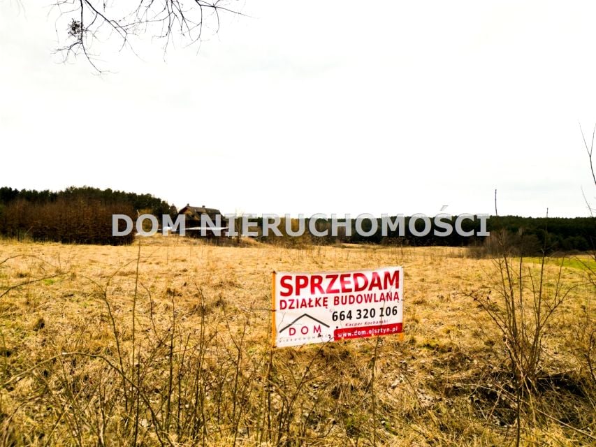 Zdjęcie 2