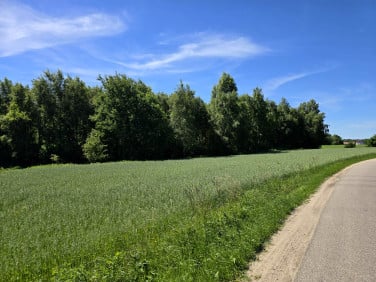 Działka budowlana Donimierz