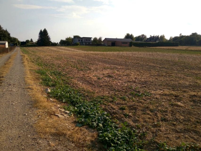 Działka budowlana Stasin