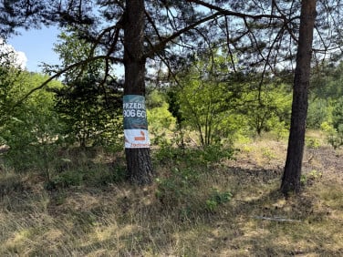Działka rekreacyjna Osina sprzedam