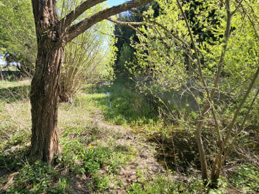 Działka rolna Gąski sprzedam
