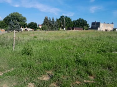 Działka Pelplin