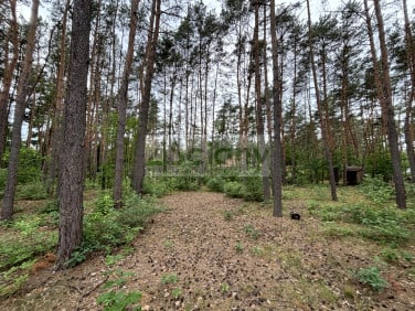 Działka budowlana Radzymin