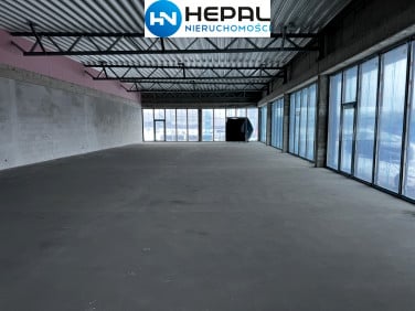 Lokal Kielce