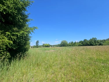 Działka budowlana Malcanów sprzedam