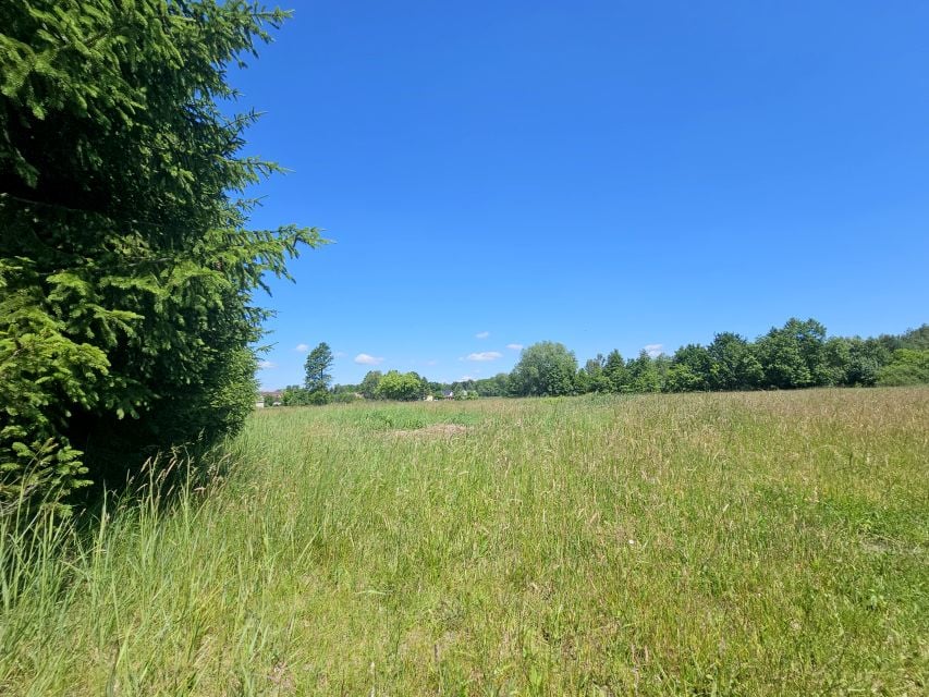 Działka budowlana Malcanów sprzedam