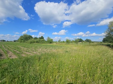 Działka Rzakta